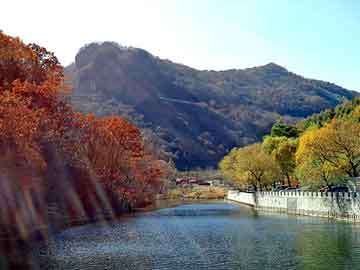 天天彩好彩天天免费，低温容器钢板